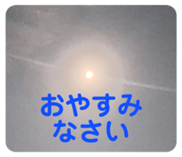 622691013