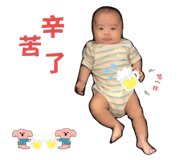 622691830