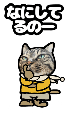 622692779