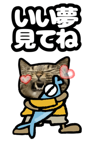 622692787