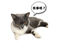 622694998