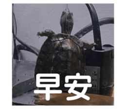 622706677