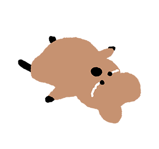Sir! Quokka Again รูปที่ 13