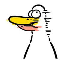 622728851