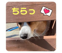 622771595