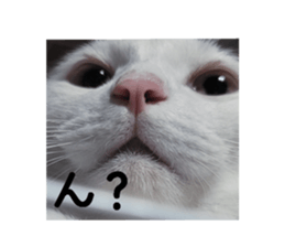 622836862