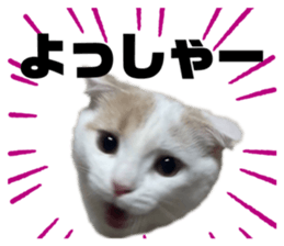 622884239