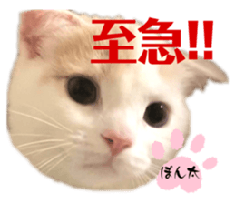 622884264