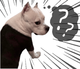 622901368