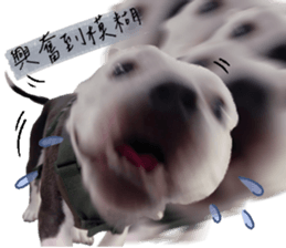 622901369