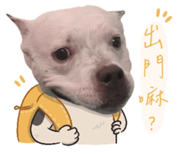 622901370