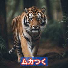 622912457