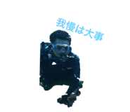 622925494