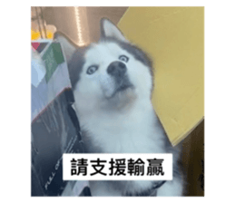 622928947