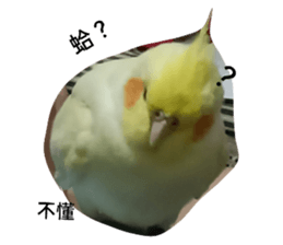 622936655