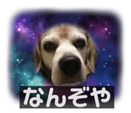622946544