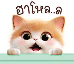 622953902