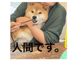 622964596