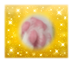 622964600