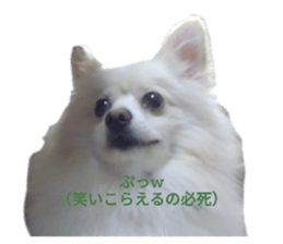 623063092