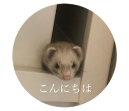 623070208