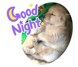 623082912