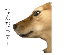 623101223