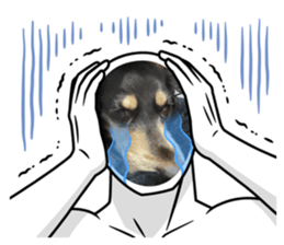623101785