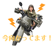 623114691