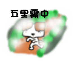 6231171