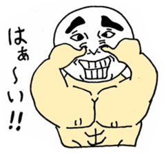 62311891