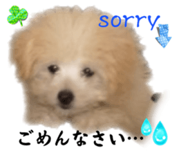 623136696