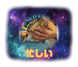 623143667