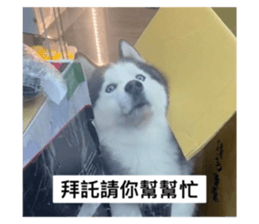 623147117