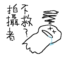ลายที่ 35