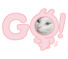 623200366