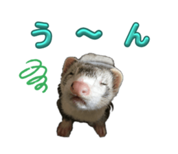 623200510