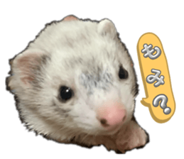 623200516