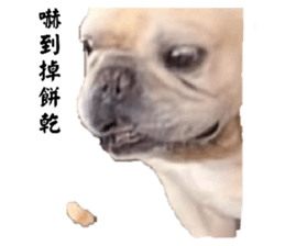 623226651
