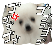 623229080