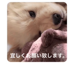 623233307