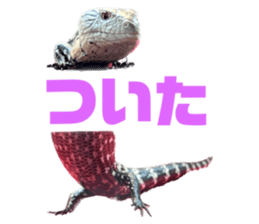 623236194