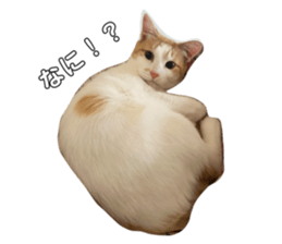 623246270