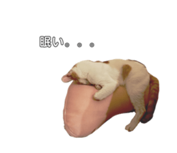 623246272