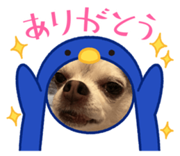 623263221