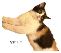 623275373