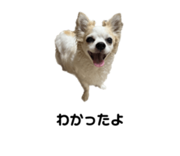 623343504