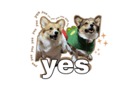 623408795