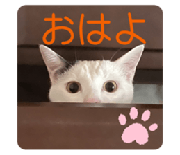 623435416