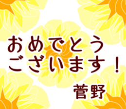 62344298